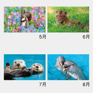 NK-104 かわいい動物たち