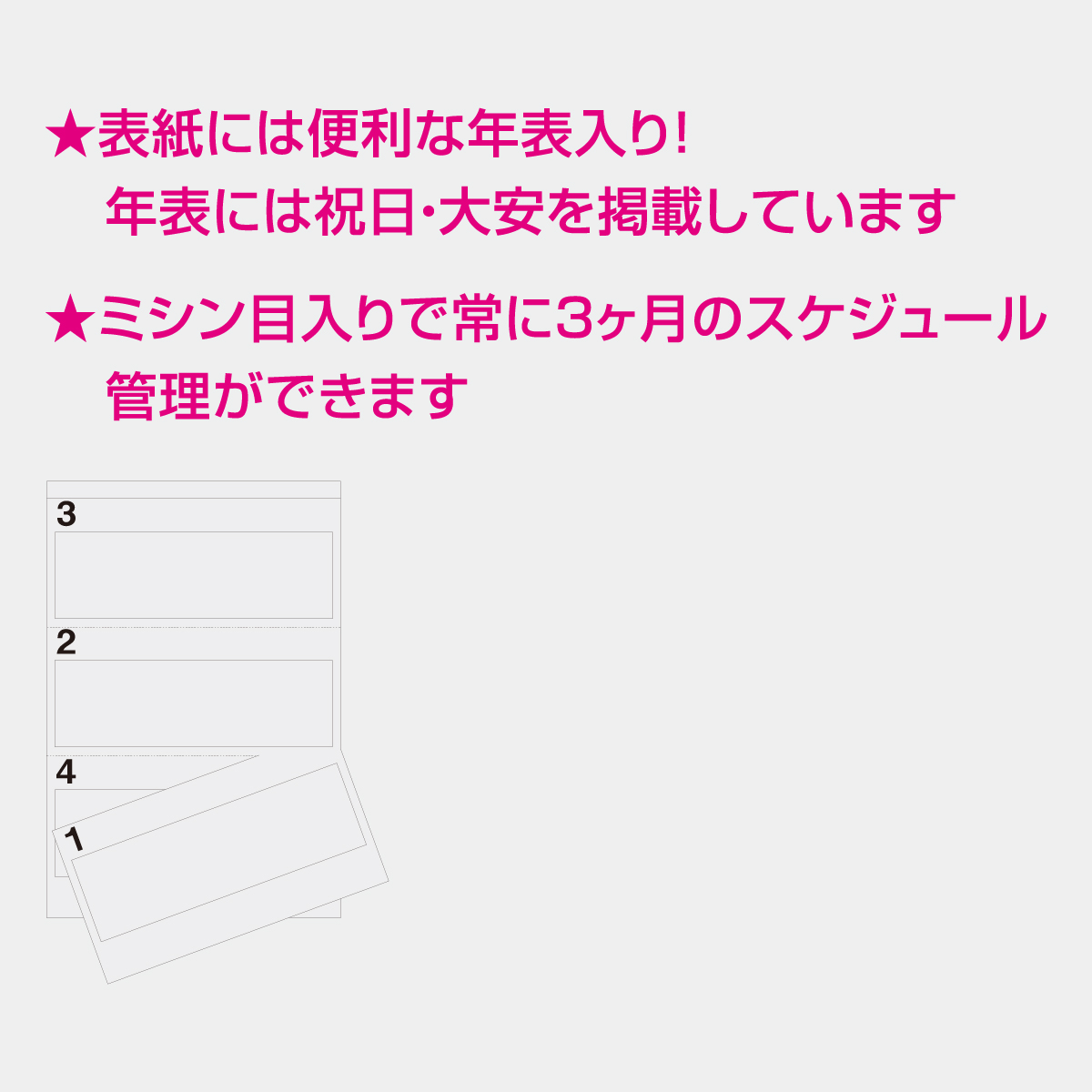 NK-197 カラーラインメモ・ジャンボ(3か月文字)