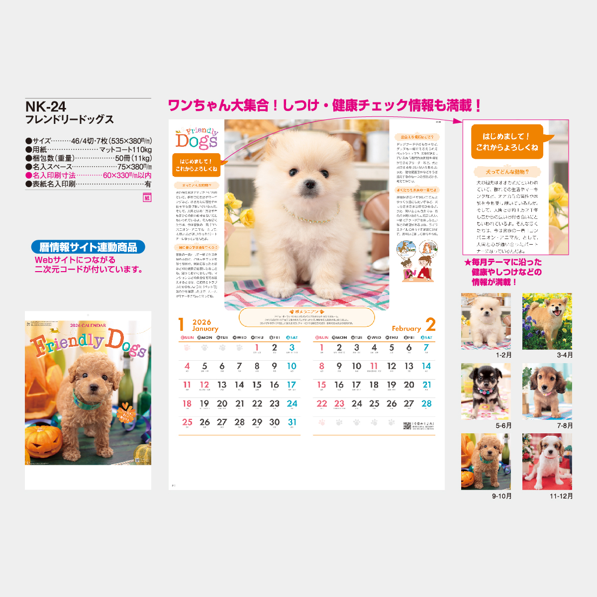 NK-24 フレンドリードッグス