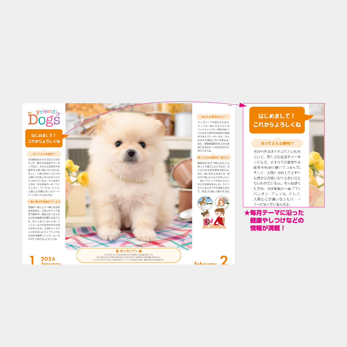 NK-24 フレンドリードッグス