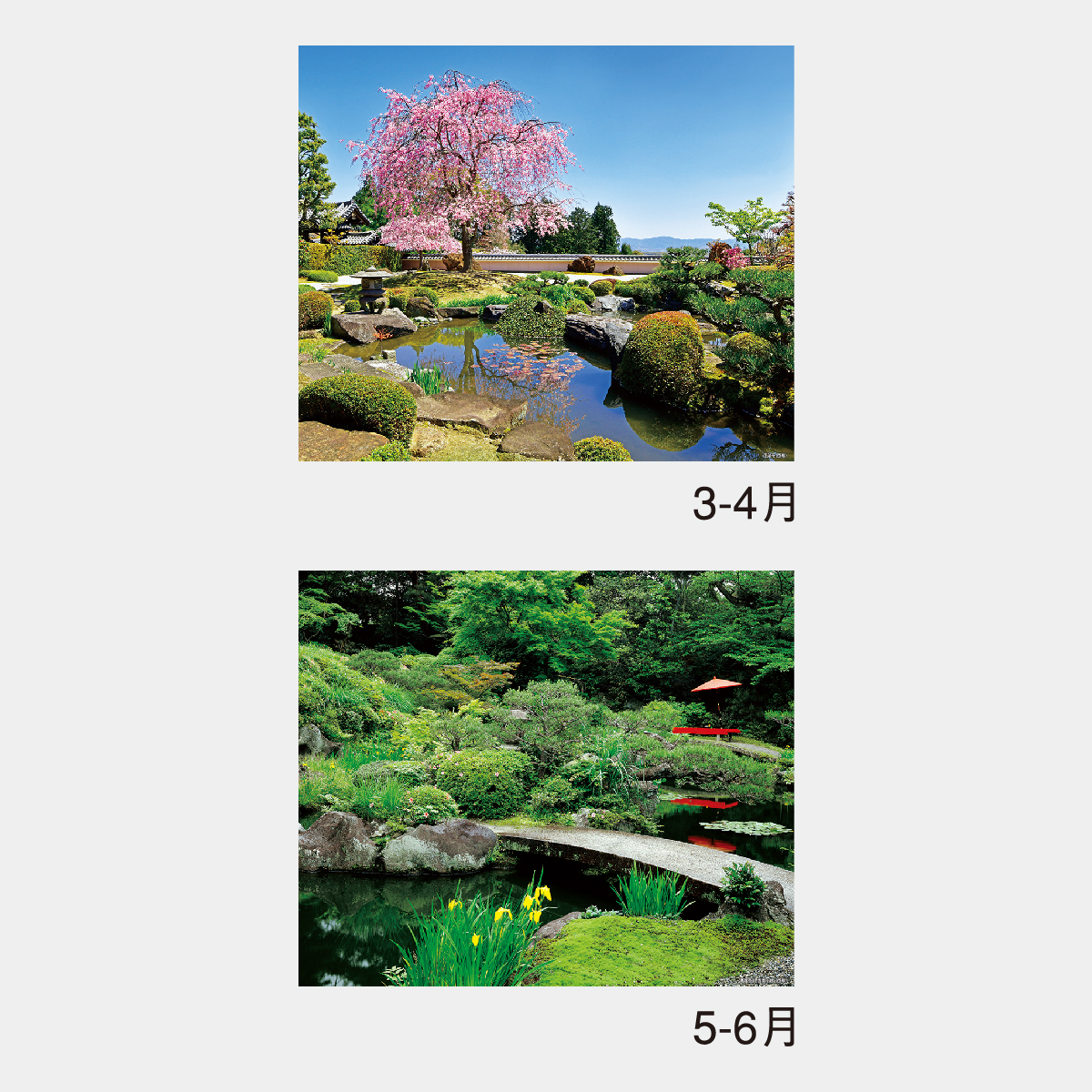 NK-26 庭(シャッターメモ・裏面マップ付)