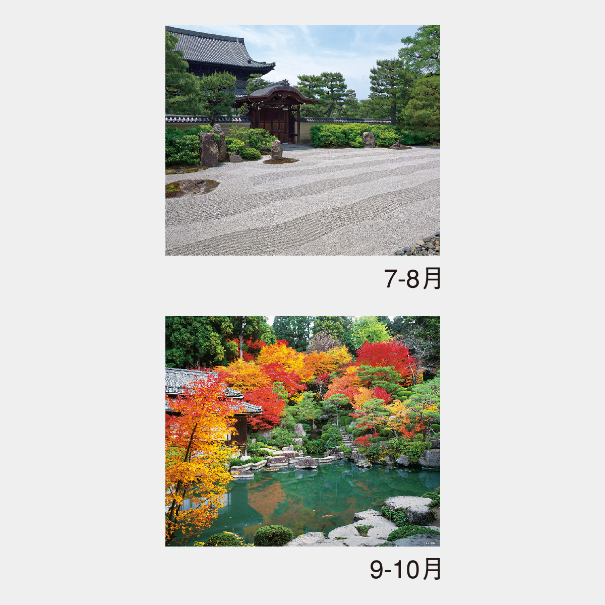 NK-26 庭(シャッターメモ・裏面マップ付)