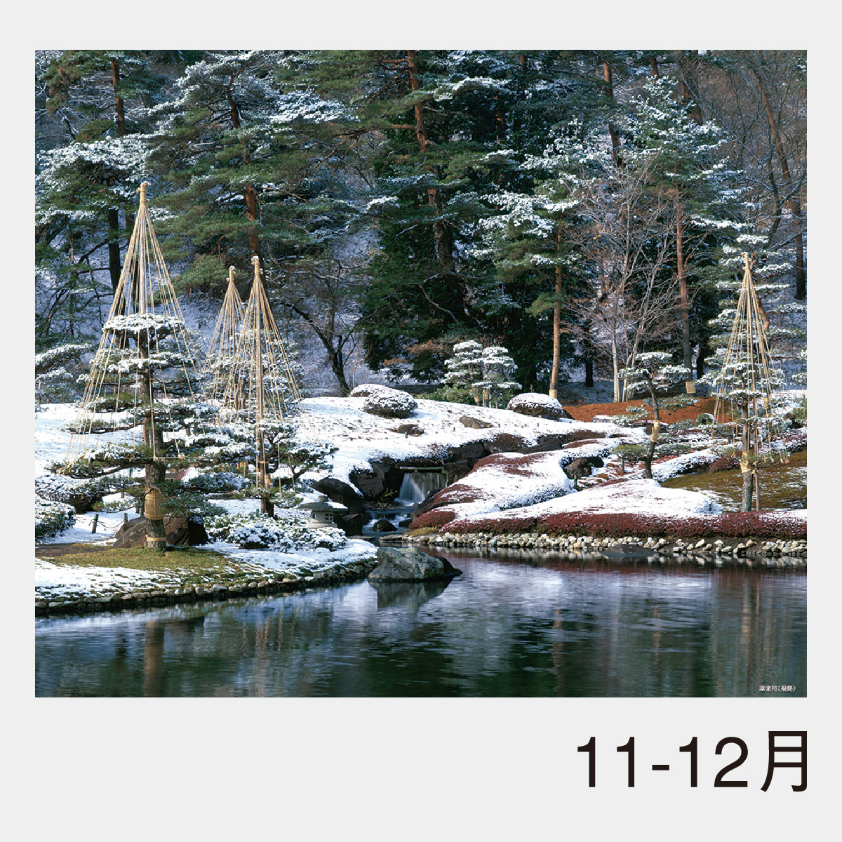 NK-26 庭(シャッターメモ・裏面マップ付)