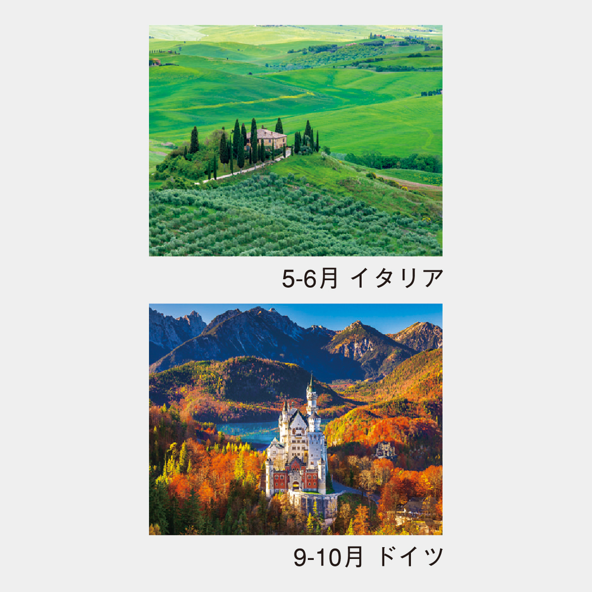 NK-28 ヨーロッパ