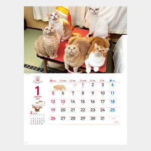 NK-33 ねこと生活　みかんとじろうさんちカレンダー