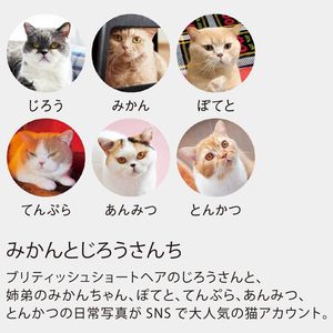 NK-33 ねこと生活　みかんとじろうさんちカレンダー