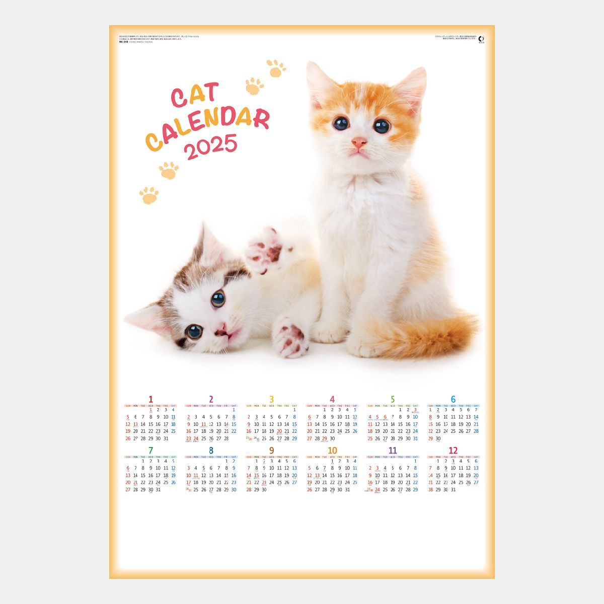 欲しいの 2024 Calendar 卓上カレンダー2024年 ぷちねこ スケジュール アクティブコーポレーション ねこ 動物写真 書き込み 