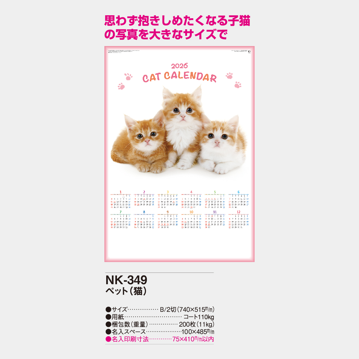 NK-349 年表 ペット(猫)