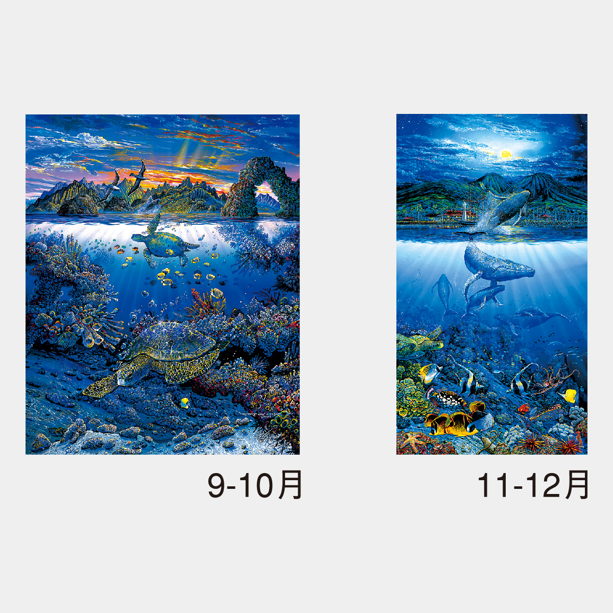 NK-42 ブルーファンタジー