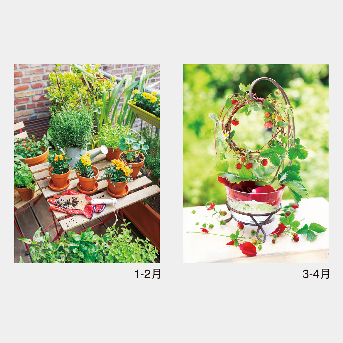 NK-428 スモールグリーン