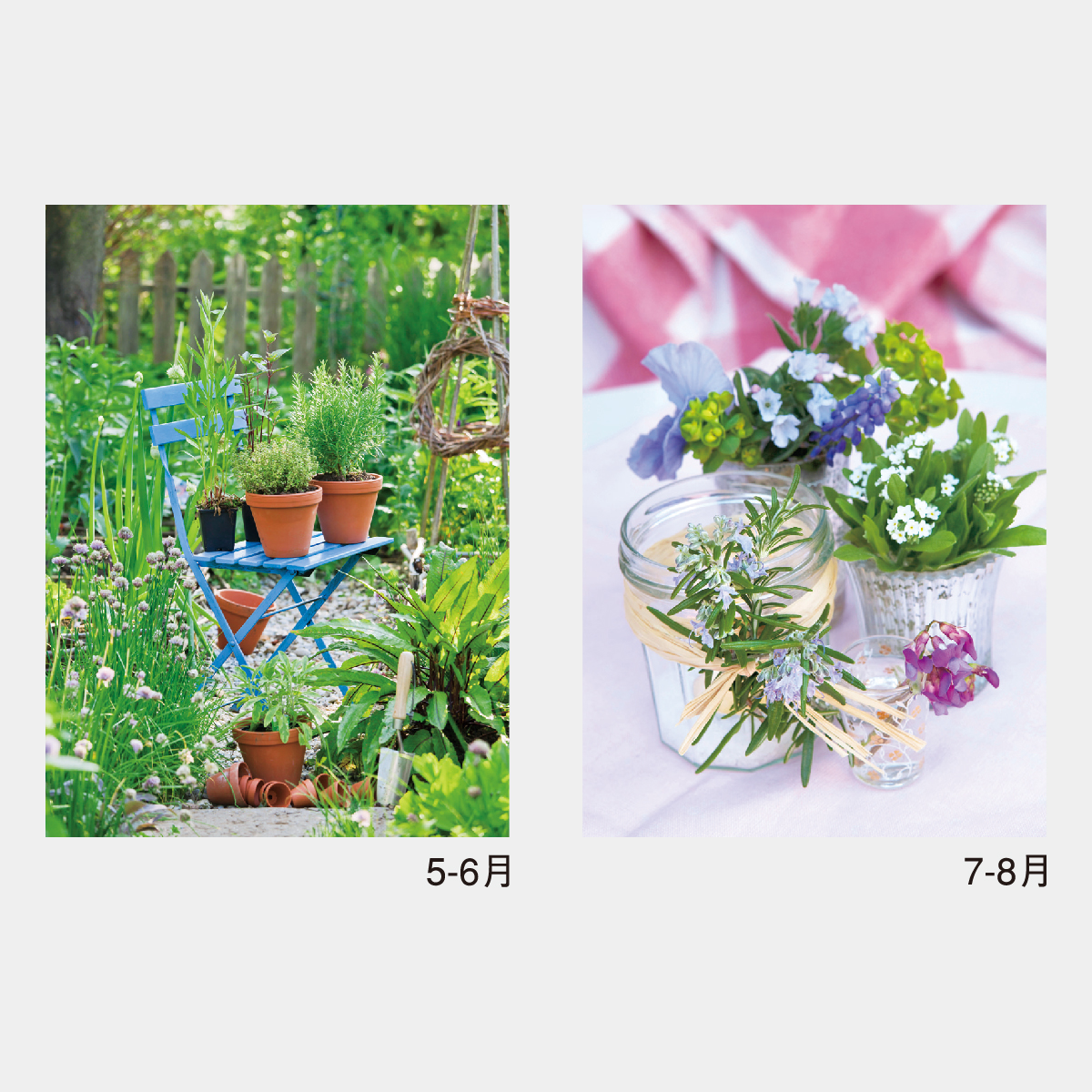 NK-428 スモールグリーン