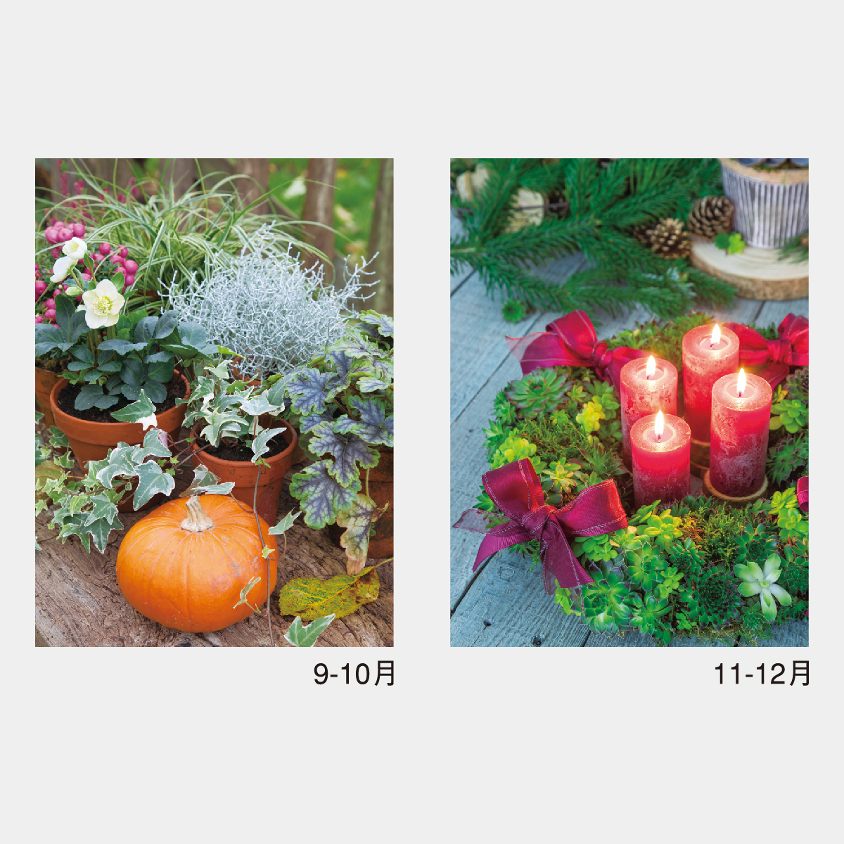 NK-428 スモールグリーン