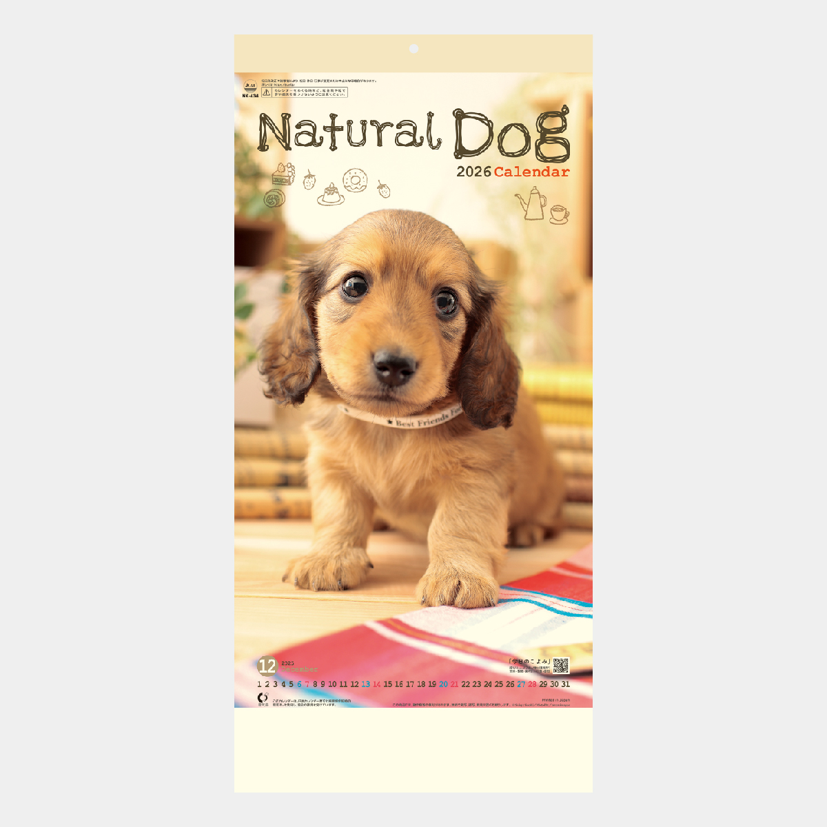 NK-434 ナチュラル ドッグ〔ミシン目入〕