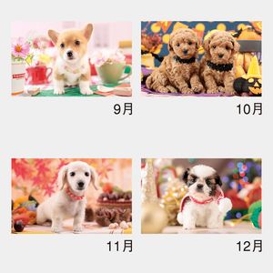 NK-454 サンキュー･ドッグ