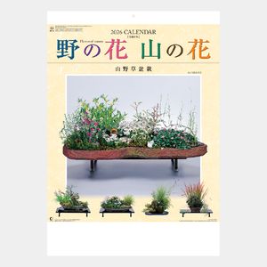 NK-46 野の花･山の花(山野草盆栽集)