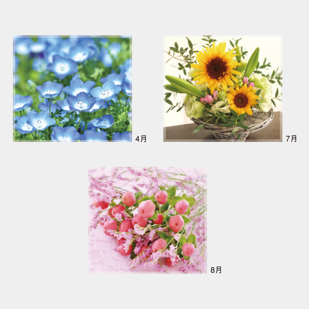 NK-486 ステップ・ザ・ブルーム