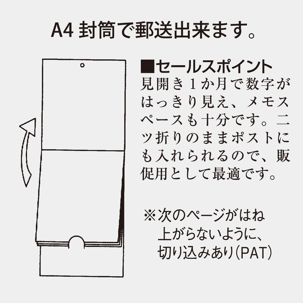 NK-486 ステップ・ザ・ブルーム