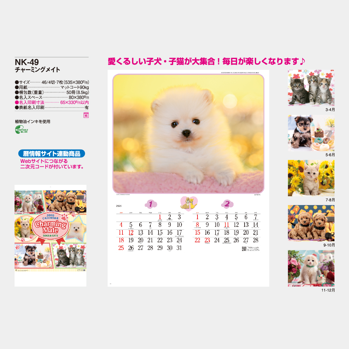 NK-49 チャーミングメイト