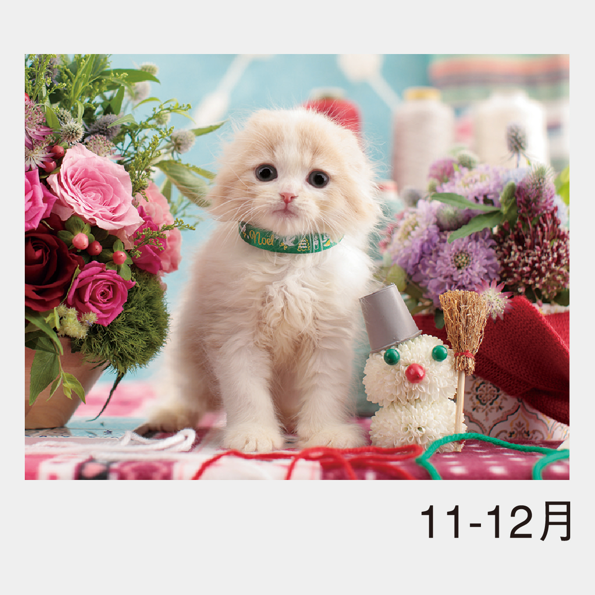 NK-49 チャーミングメイト