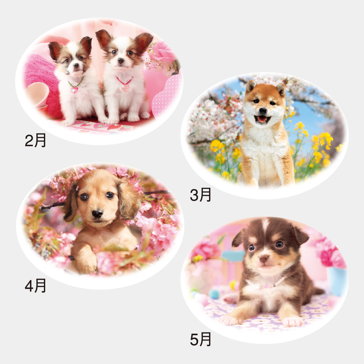 NK-521 エコ･デスク ドッグ〔メモ付〕