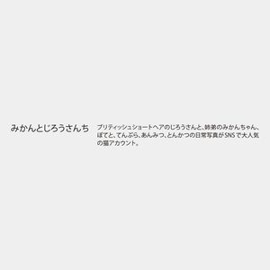 NK-527 ねこと生活　みかんとじろうさんち