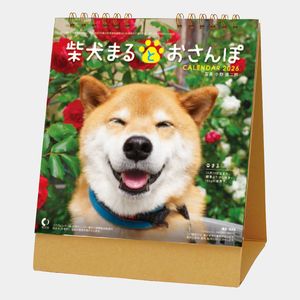 NK-529 卓上 柴犬まるとおさんぽ