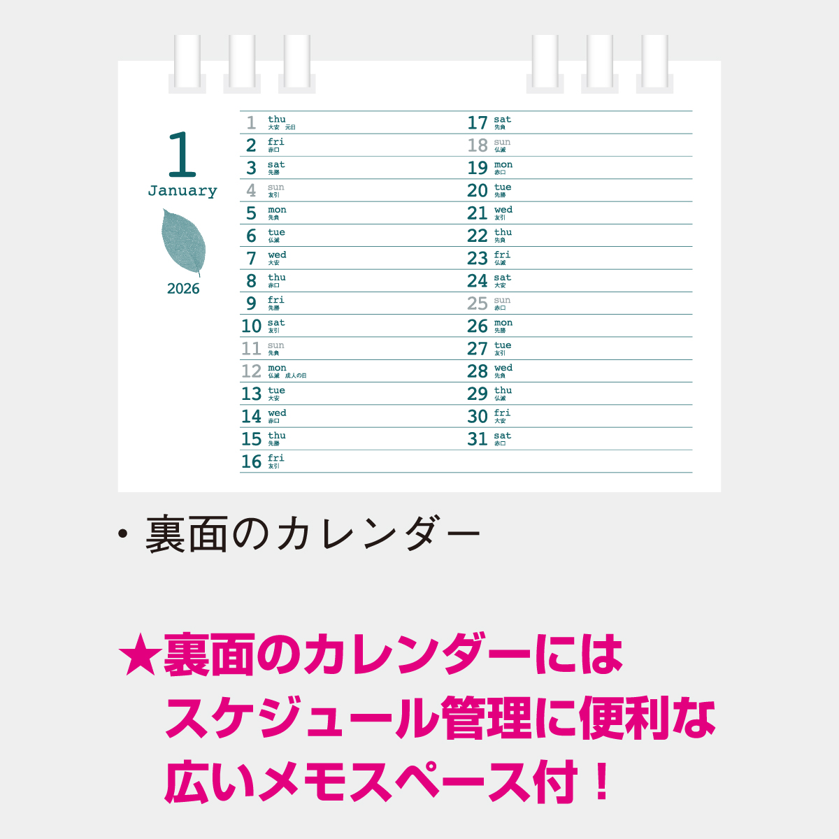 NK-533 卓上 グリーン エコ・プラン