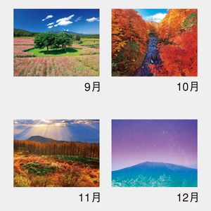 NK-84 PURE ～心に残る日本風景～(13枚)