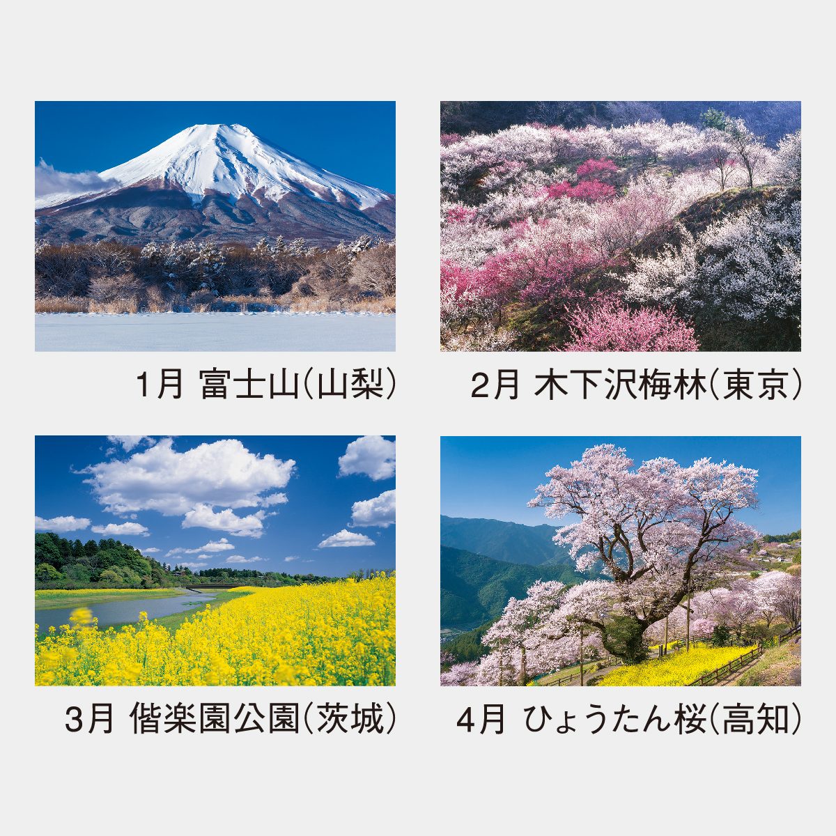 NK-85 観光文字風景(小)