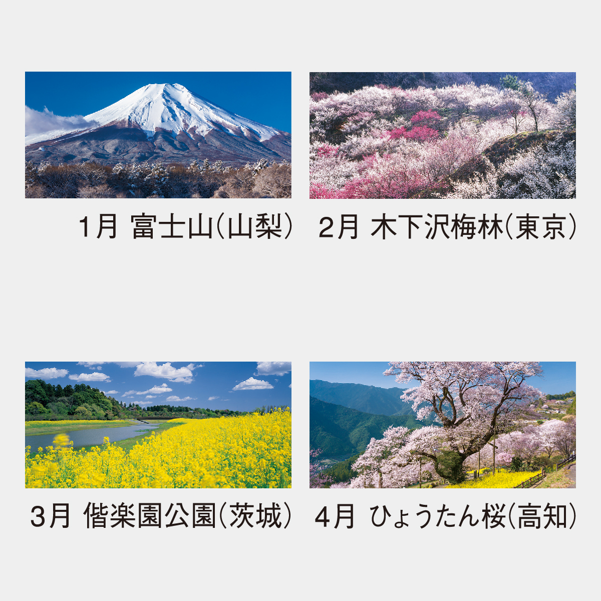 NK-86 観光文字風景