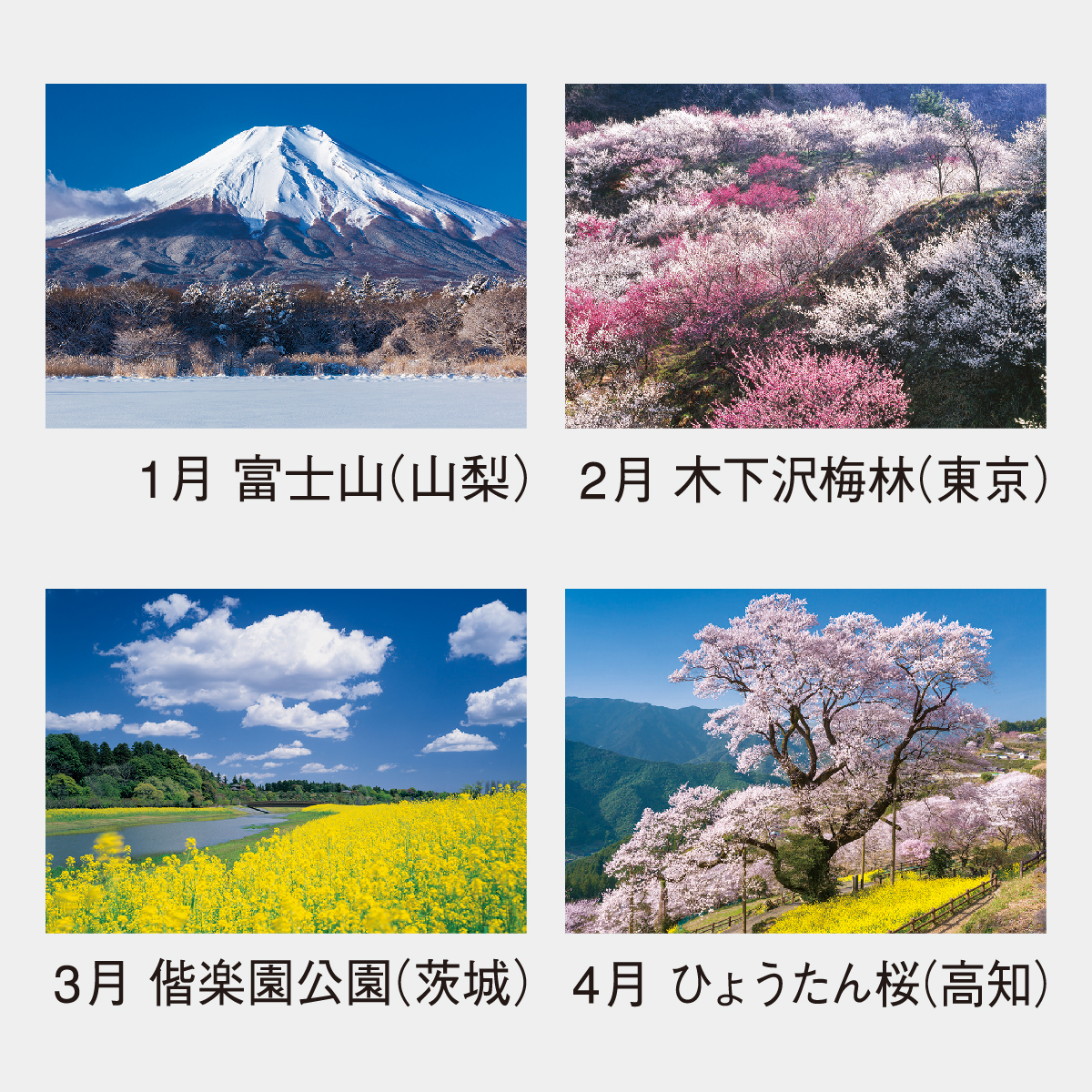 NK-87 四季の日本