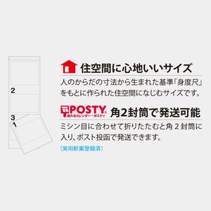 NK-900 富士－麗峰の四季－