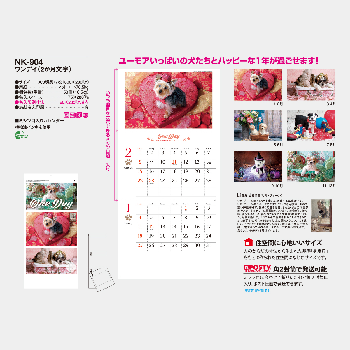 NK-904 ワンデイ(2ヵ月文字)