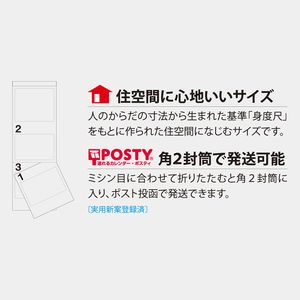 NK-904 ワンデイ(2ヵ月文字)