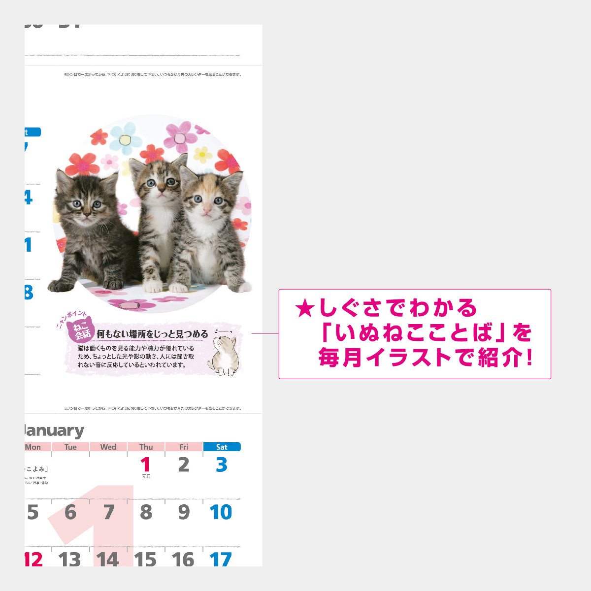 NK-914 ハッピーチャット-いぬねこことば-