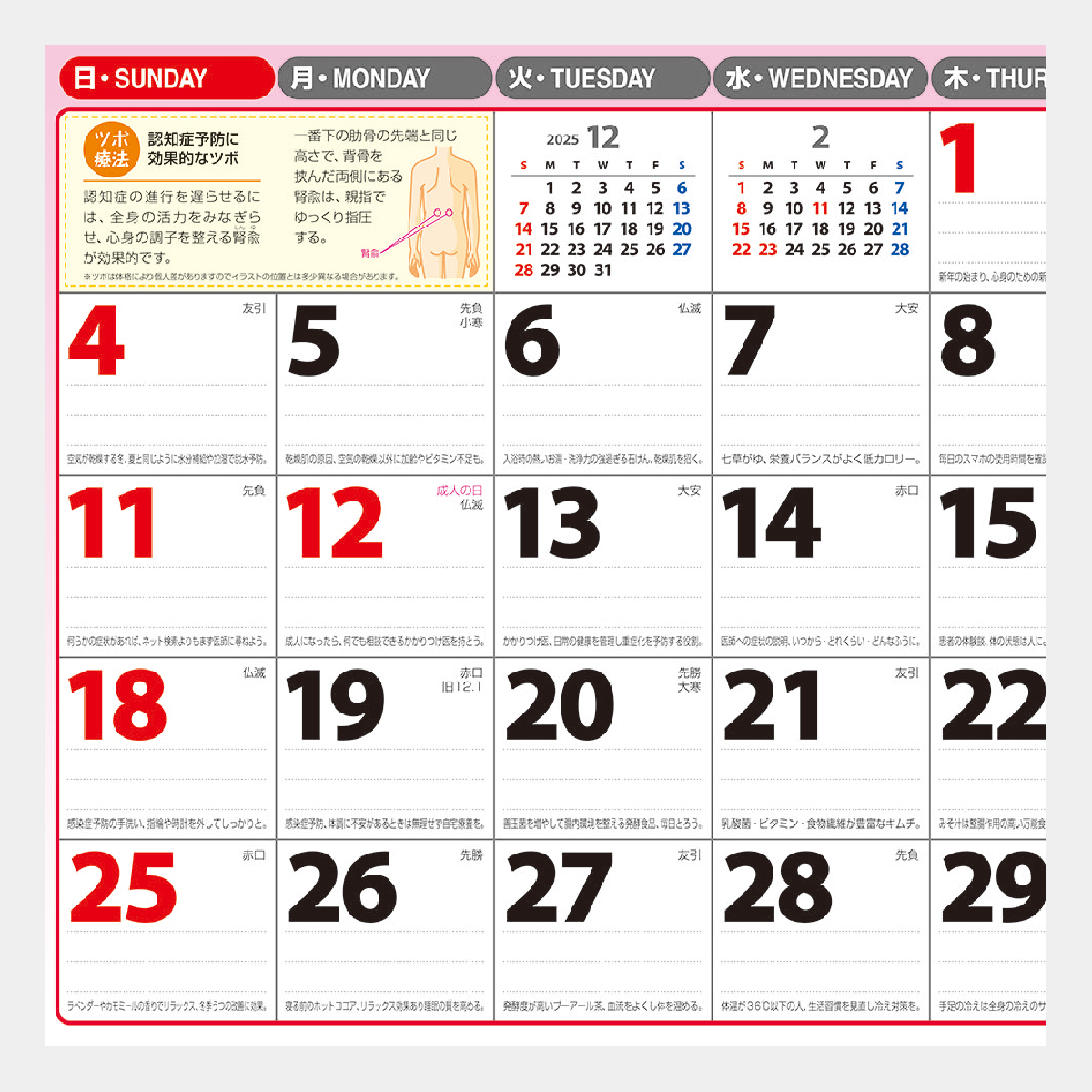 NK-96 家庭の健康管理