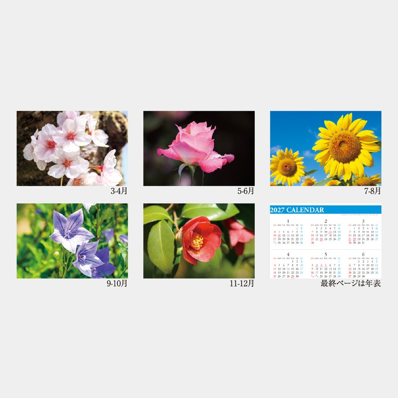 NP-406 ブックレット・花の彩り