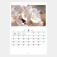 【壁掛け】ブックレット・四季の花々
