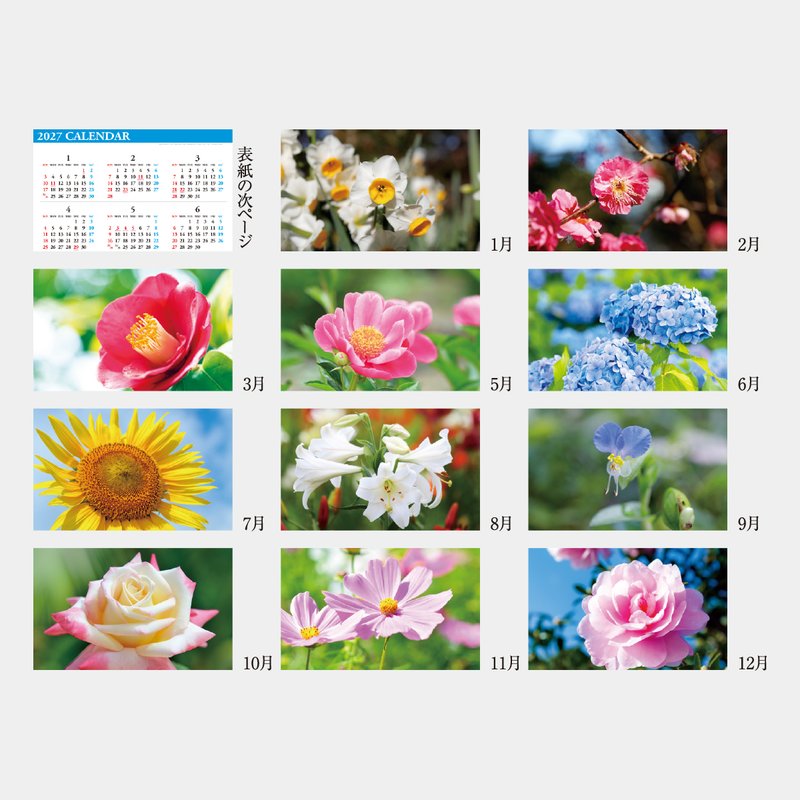 NP-460 ブックレット・四季の花々