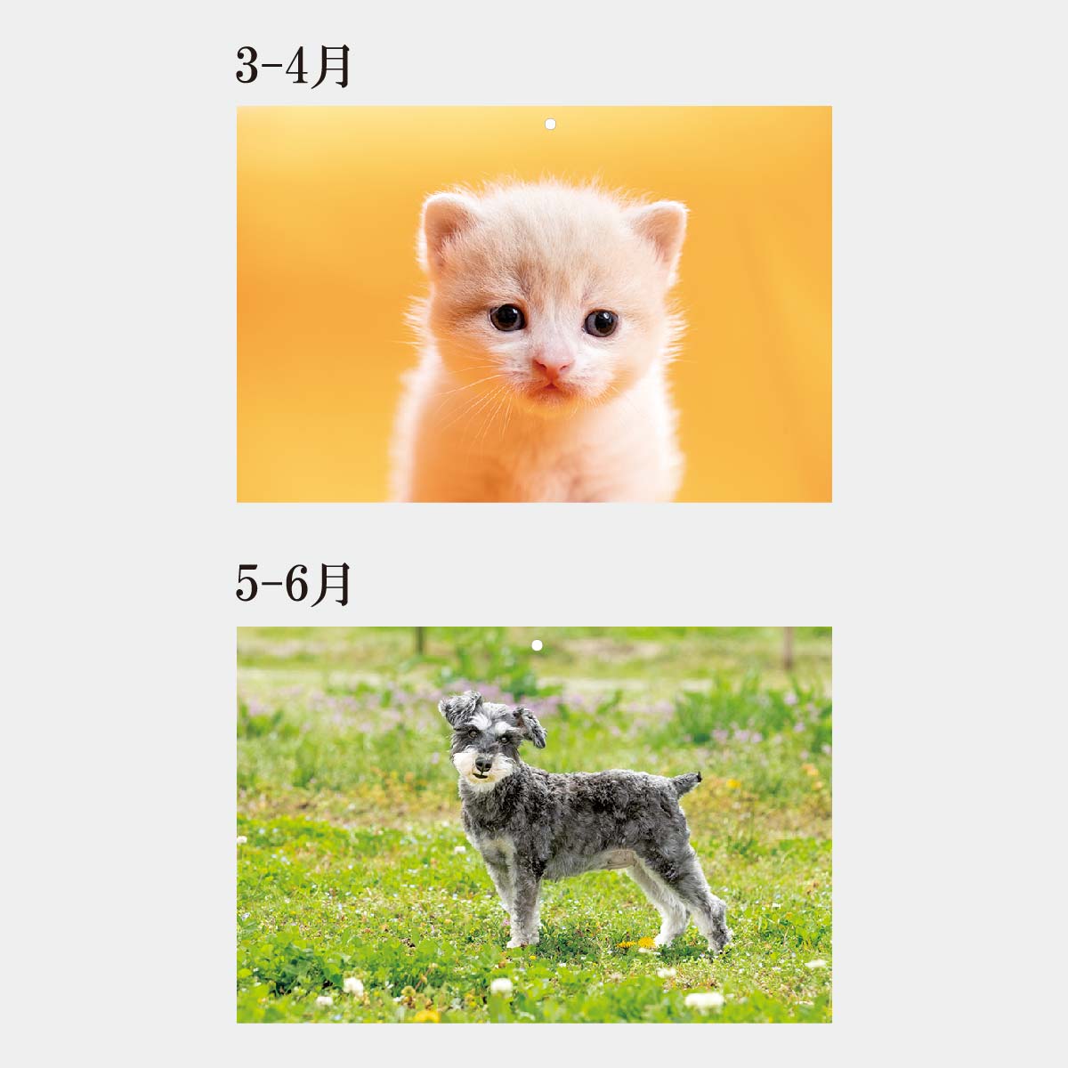 PR-630 ペットフレンド