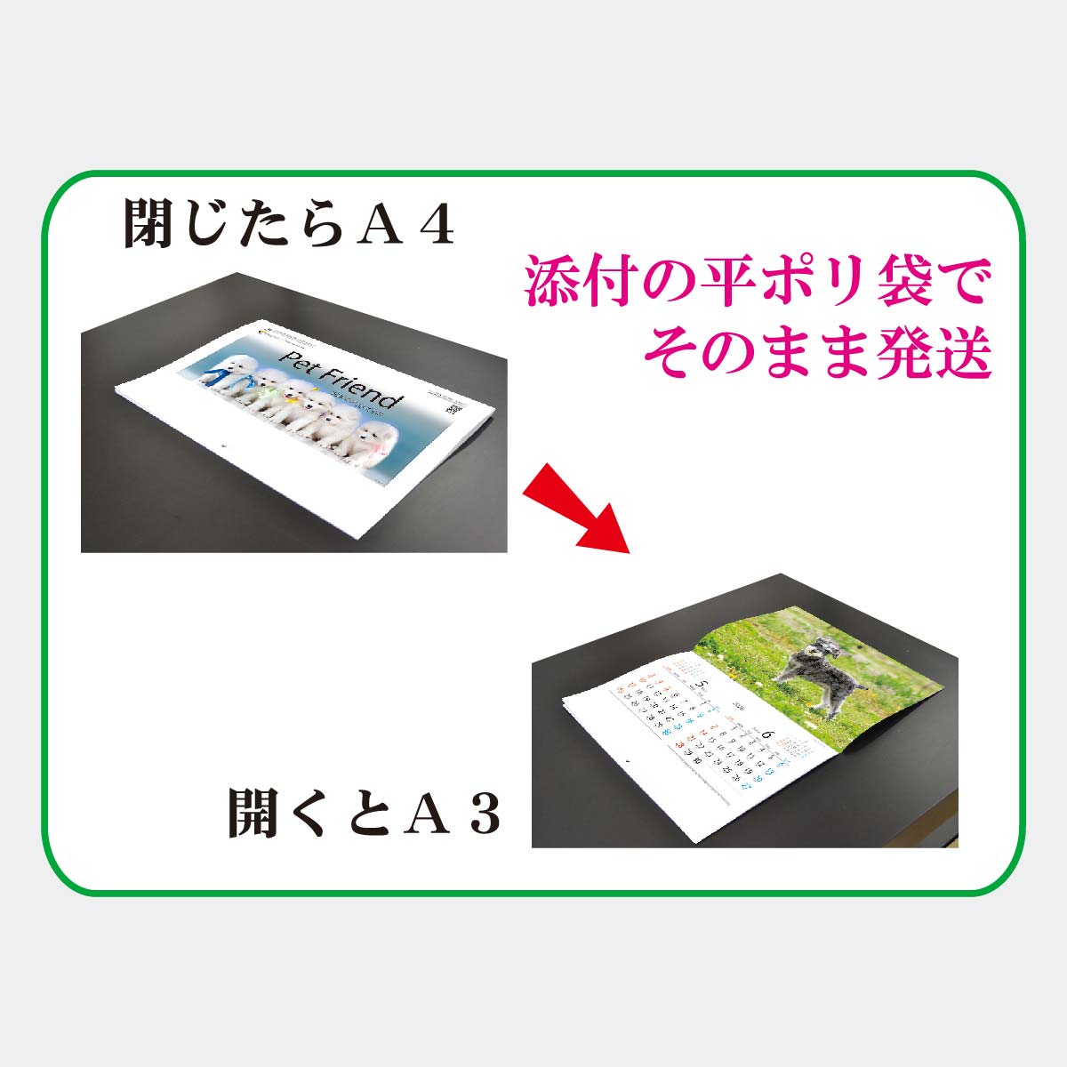 すべらない話　特典　カレンダー すべらない話 特典 カレンダー 杉本さなえ カレンダー 壁掛