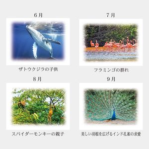 PR-940 自然の育み