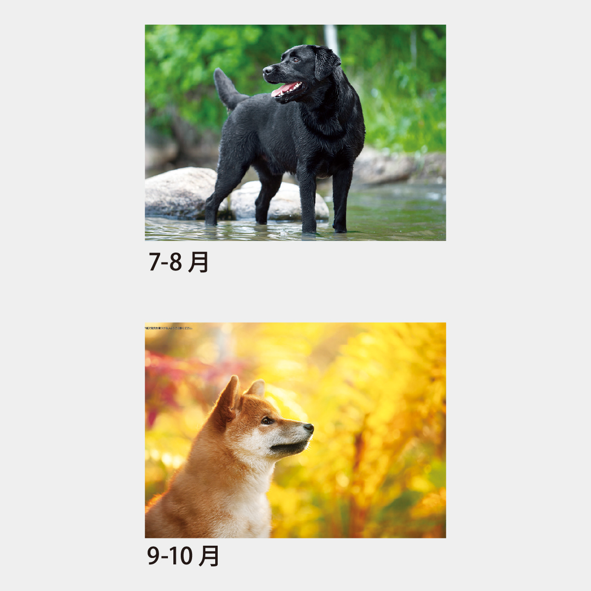 【短納期:14営業日出荷】SA-060 ハッピースマイルドッグ