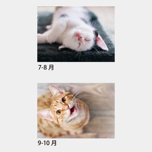 SA-070 ハッピースマイルキャット