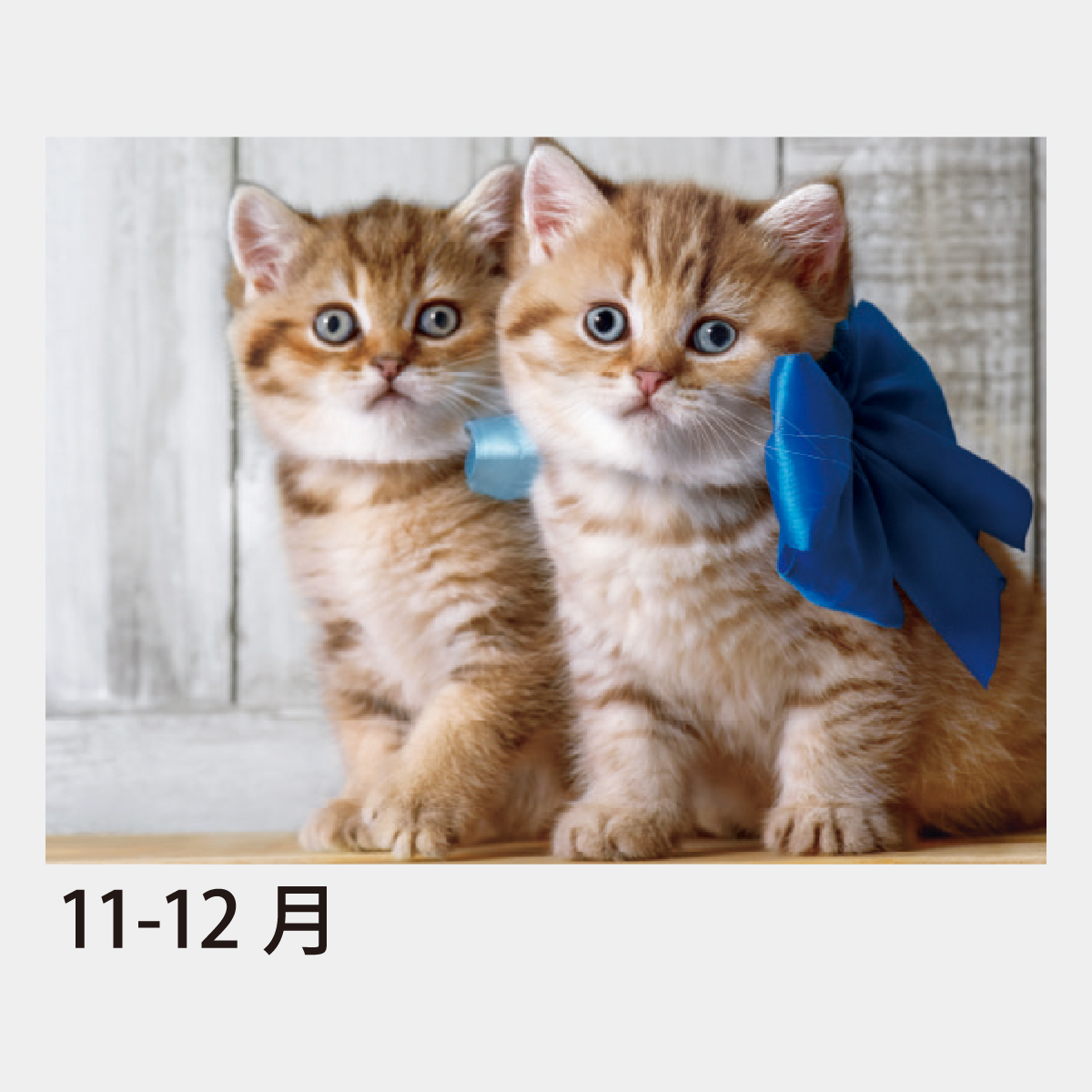 【短納期:14営業日出荷】SA-070 ハッピースマイルキャット