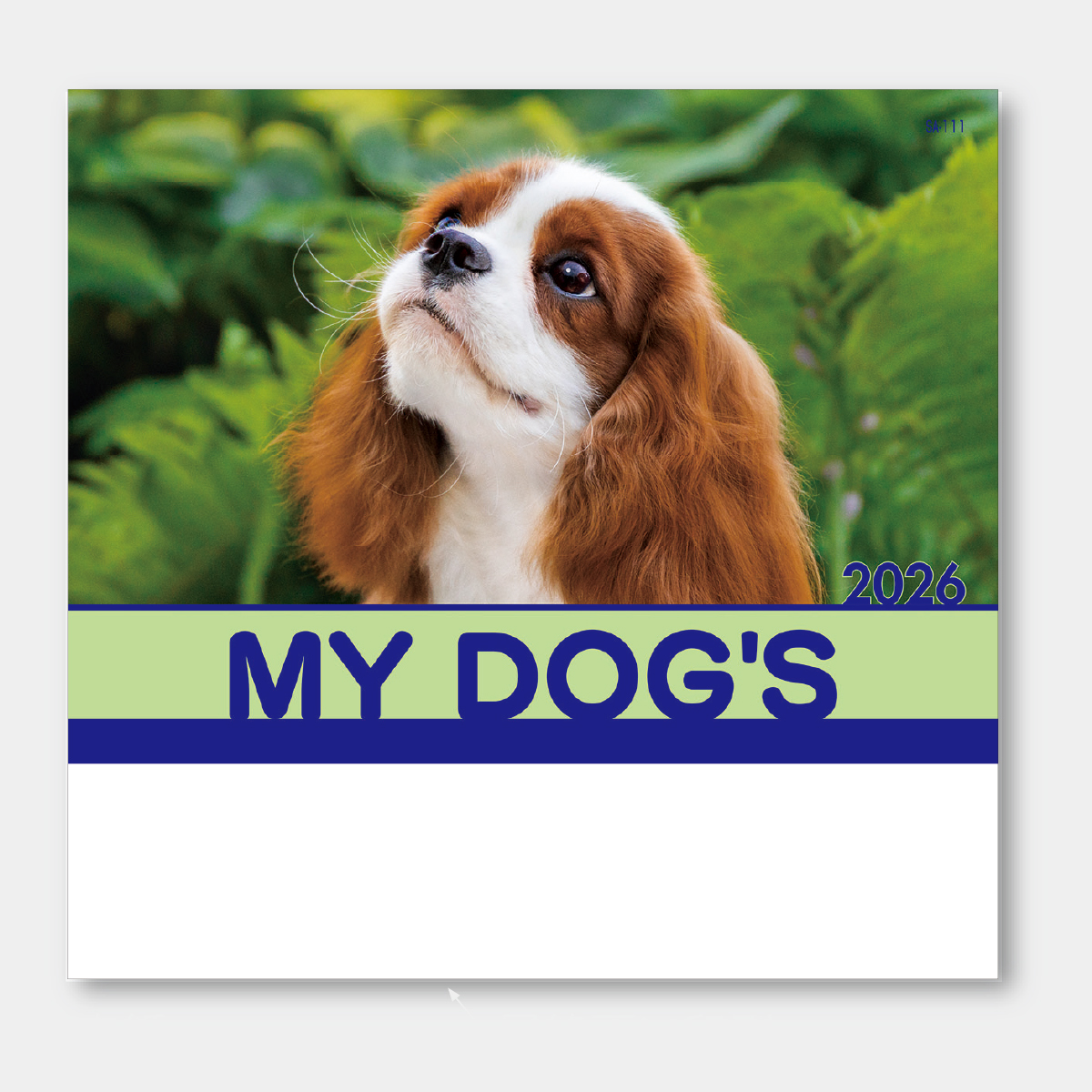 SA-111 マイドッグス