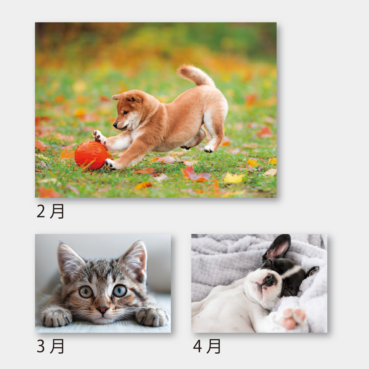 SA-340 ワンニャンコンパクトカレンダー