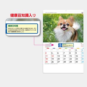 【短納期:6営業日出荷】SA-341 リトルペット