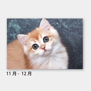 【短納期:14営業日出荷】SA-342 チャーミングペット