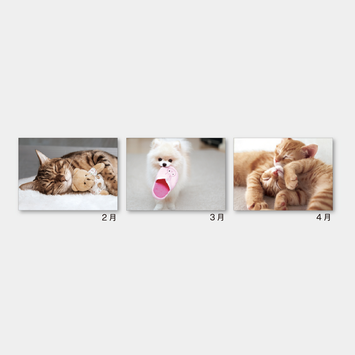 SA-346 ドッグ＆キャッツ